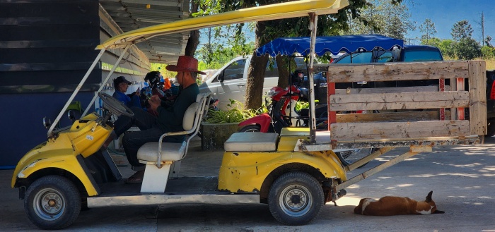 gelbes umgebautes Golffahrzeug für Farm