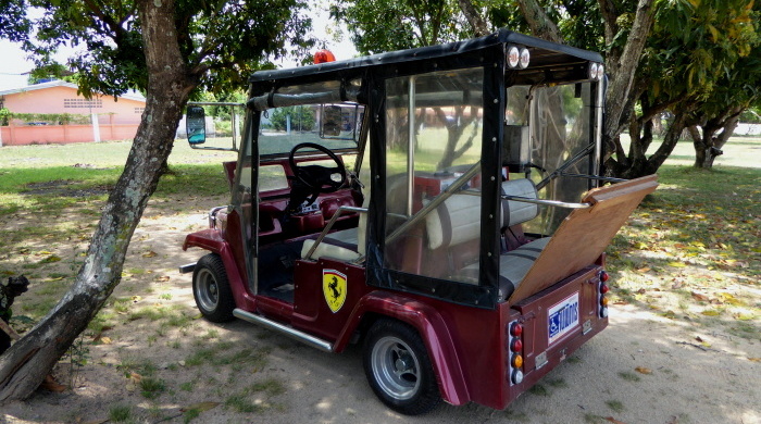 umgebautes behinderten Golffahrzeug