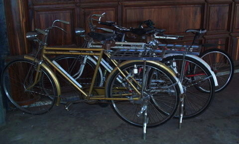 alte velo golden