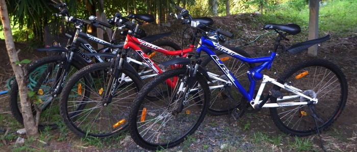 sportrad blau und rot
