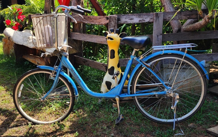 blaues damenfahrrad in thailand