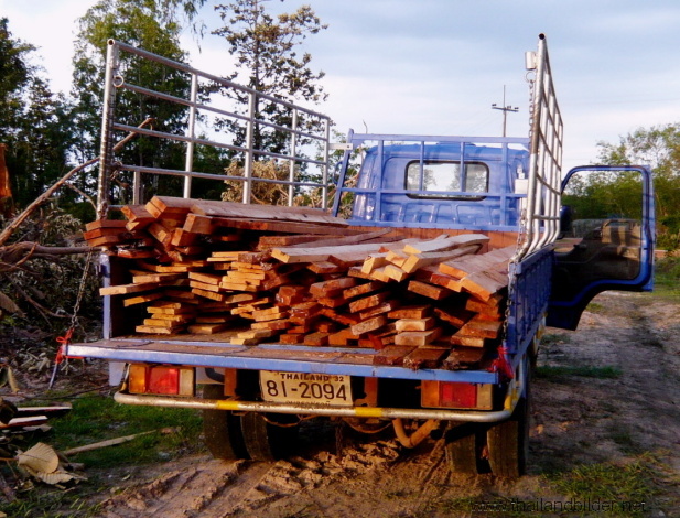 Holztransport vom Urwald roden