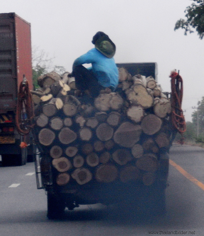 autobild holztransport